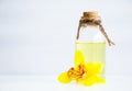 Aromatheraphy product of spa therapy