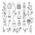 Aromatherapy aesthetic with different oil bottles and plants, vector set