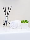 Aromatherapy bottle diffuser with sticks