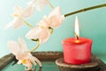 Aromatherapy candle Royalty Free Stock Photo