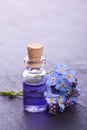 Aromatherapy essence