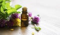 Aromatherapy essential oil bottle, herbal plants oil
