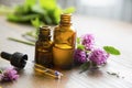 Aromatherapy essential oil bottles, herbal plants and oil Royalty Free Stock Photo