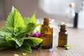 Aromatherapy essential oil bottles, herbal plants and oil