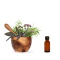 Aromatherapy Essential Oil Herbs Royalty Free Stock Photo
