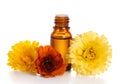 Aromatherapy essential oil with marigold Royalty Free Stock Photo