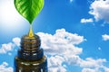 Aromatherapy essential oils as natural remedies with oil dripping from green leaves on brown bottles against blue sky background