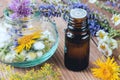 Aromatherapy with essential oils from citrus herbs and flowers. Royalty Free Stock Photo