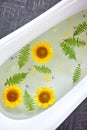 Aromatherapy with flower petals.Bath water with sunflower petals.top view Royalty Free Stock Photo