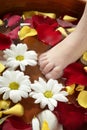 Aromatherapy, flowers feet bath, rose petal Royalty Free Stock Photo