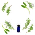 Aromatherapy Herb Selection