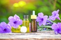 Aromatherapy herbal oil bottles aroma with flower purple on nature green background - Essential oils natural for face and body Royalty Free Stock Photo