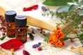 Aromatherapy with herbs Royalty Free Stock Photo