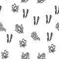 Aromatherapy Herbs Vector Seamless Pattern