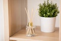 Aroma reed diffuser and pot flower on wooden shelf