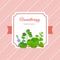 Aromatherapy medical herbs label design
