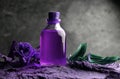 Aromatherapy oil spa wellnes bio Royalty Free Stock Photo