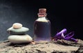 Aromatherapy oil spa wellnes bio Royalty Free Stock Photo