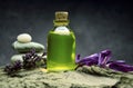 Aromatherapy oil spa wellnes bio Royalty Free Stock Photo