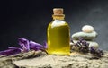 Aromatherapy oil spa wellnes bio Royalty Free Stock Photo