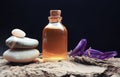 Aromatherapy oil spa wellnes bio Royalty Free Stock Photo