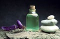 Aromatherapy oil spa wellnes bio Royalty Free Stock Photo