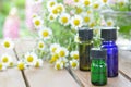 Aromatherapy oils with chamomile Royalty Free Stock Photo