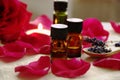 Aromatherapy oils with roses Royalty Free Stock Photo