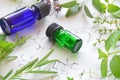 Aromatherapy and science Royalty Free Stock Photo