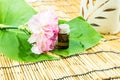 Aromatherapy Spa concept with pink carnation Royalty Free Stock Photo