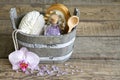 Aromatherapy spa massage tools to body care still life Royalty Free Stock Photo