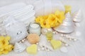 Aromatherapy Spa Treatment Royalty Free Stock Photo