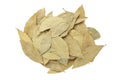Aromatic bay leaves isolated on white background Royalty Free Stock Photo