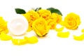 Aromatic botanical cosmetics. Skincare home spa treatment with yellow petals, rose blossom, natural face cream