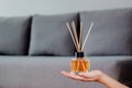 Aromatic cane air freshener woman holding in hand on room background. Aroma diffuser. Home air freshener. Royalty Free Stock Photo