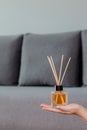 Aromatic cane air freshener woman holding in hand on room background. Aroma diffuser. Home air freshener. Royalty Free Stock Photo