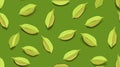 Aromatic Cardamom Spice Horizontal Seamless Background.