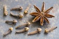 Aromatic christmas holiday spices, star anise and cloves