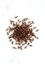 Aromatic Cloves Displayed on a Clean White Background Perfect for Culinary and Spice Themed Royalty Free Stock Photo