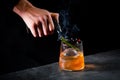 aromatic cocktail with a sprig of pine needles and round ice on a dark background, side view Royalty Free Stock Photo