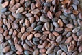 Aromatic cocoa beans on wooden table