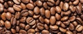 Aromatic coffee beans, closeup texture for cafe - coffee texture extravaganza Royalty Free Stock Photo