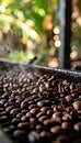 Aromatic coffee beans roasting on a modern machine to enhance flavor for a delightful brew