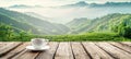 Aromatic coffee cup with lush green plantation mountain view, perfect for text placement