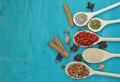 Aromatic condiments seeds and fruits in wooden spoons.