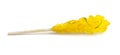 Aromatic crystallized sugar with saffron threads on a wooden stick Royalty Free Stock Photo
