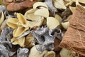 Aromatic dried flowers, plant parts and coconut coir, abstract background. Macro photo for wallpaper or textures