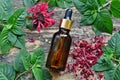 Aromatic essential oil in a bottle with monarda flowers and leaves on wooden background.