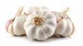 Aromatic Garlic Bulbs