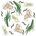 Aromatic garlic. Fresh, beautiful and beautiful garlic.